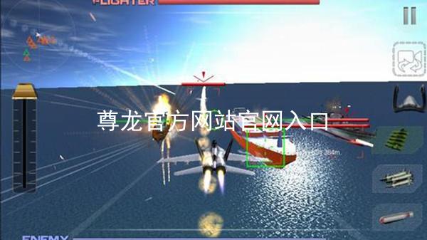尊龙官方网站官网入口