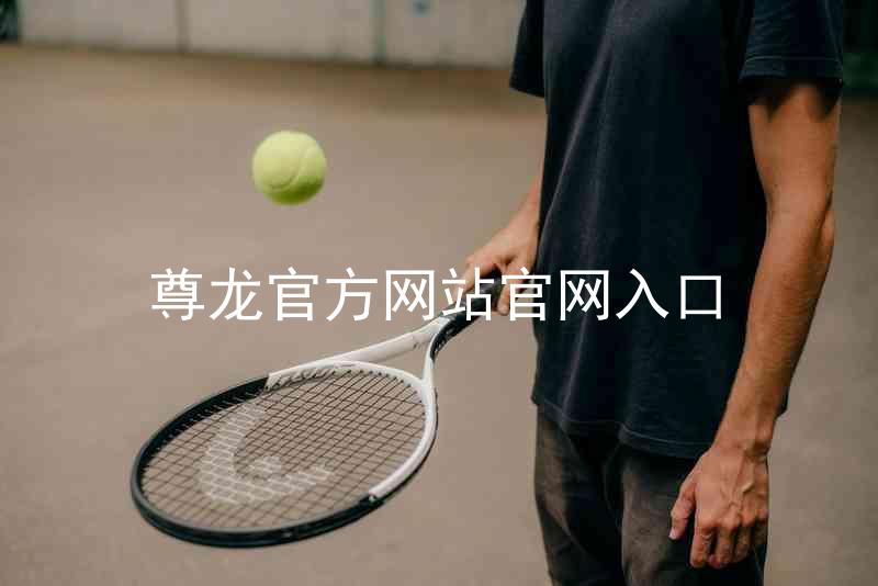 尊龙官方网站官网入口