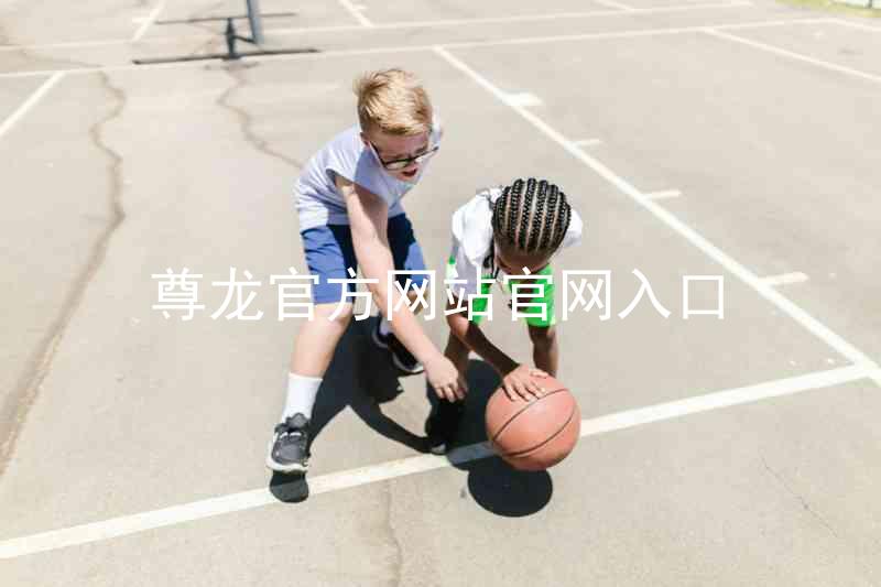 尊龙官方网站官网入口