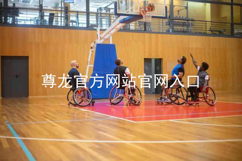 尊龙官方网站官网入口