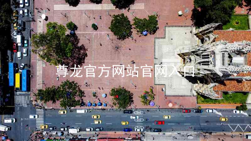 尊龙官方网站官网入口