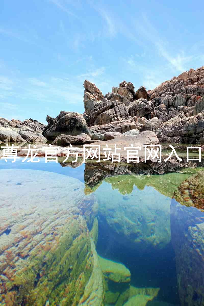 尊龙官方网站官网入口