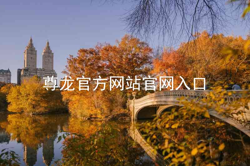 尊龙官方网站官网入口