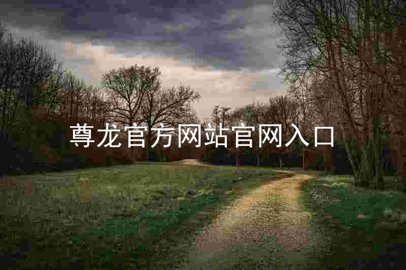 尊龙官方网站官网入口